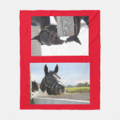 Paarden die op een hek kauwen fleece deken (Voorkant)