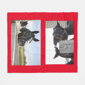 Paarden die op een hek kauwen fleece deken