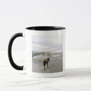 Paarden die op het strand lopen mok