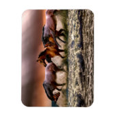 Paarden die op het Surf van de oceaan op de zon lo Magneet (Verticaal)