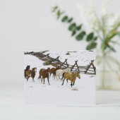 Paarden die op sneeuw lopen briefkaart (Staand voorkant)