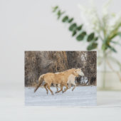 Paarden die op sneeuw lopen briefkaart (Staand voorkant)