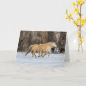 Paarden die op sneeuw lopen kaart (Gele Bloem)