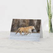 Paarden die op sneeuw lopen kaart (Voorkant)