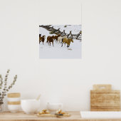 Paarden die op sneeuw lopen poster (Keuken)