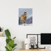 Paarden die op sneeuw lopen poster (Thuiskantoor)