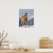 Paarden die op sneeuw lopen poster (Keuken)
