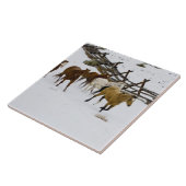 Paarden die op sneeuw lopen tegeltje (Zijkant)