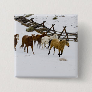 Paarden die op sneeuw lopen vierkante button 5,1 cm