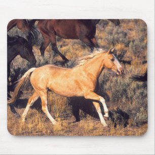 Paarden die over een Ponderosa Ranch rennen Muismat