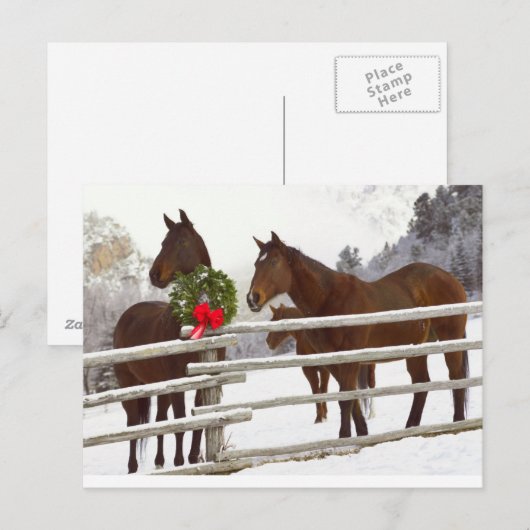 Paarden die over hek kijken in sneeuw feestdagenkaart (Voorkant / Achterkant)