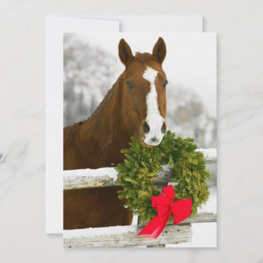 Paarden die over hek kijken kaart (Voorkant)