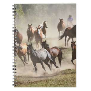 Paarden die rennen tijdens round-up, Montana Notitieboek