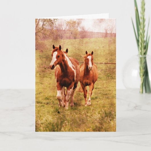 Paarden die, Verjaardag draven Kaart (Voorkant)