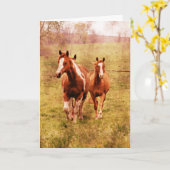 Paarden die, Verjaardag draven Kaart (Gele Bloem)