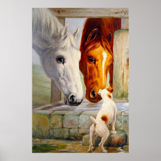 Paarden die vrienden maken poster