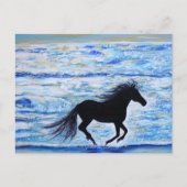 Paarden die vrij lopen door het Zee schilderen Briefkaart (Voorkant)