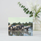 Paarden die water kruisen briefkaart (Staand voorkant)