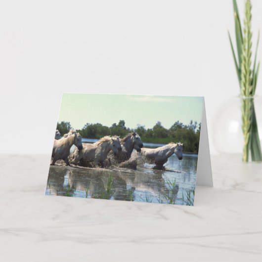 Paarden die water kruisen kaart (Voorkant)