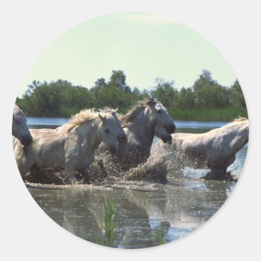 Paarden die water kruisen ronde sticker (Voorkant)