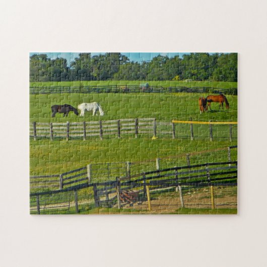 Paarden die Wisconsin grazen. Legpuzzel (Horizontaal)