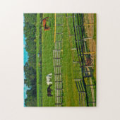 Paarden die Wisconsin grazen. Legpuzzel (Verticaal)