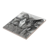 Paarden die zich afmaken: Potlood Drawing, realism Tegeltje (Zijkant)