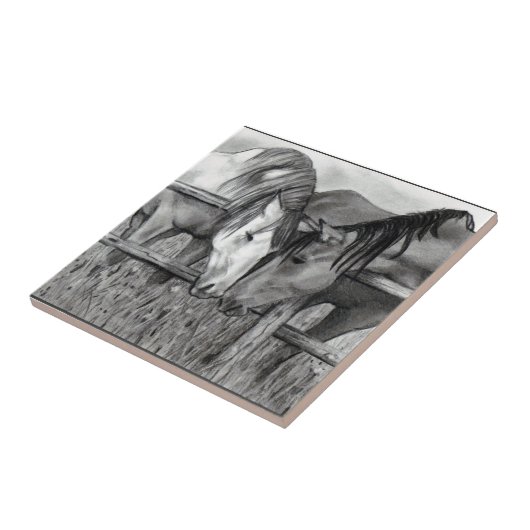 Paarden die zich afmaken: Potlood Drawing, realism Tegeltje (Zijkant)