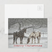Paarden die zich in de Wens van de Sneeuw u Feestdagenkaart (Voorkant / Achterkant)