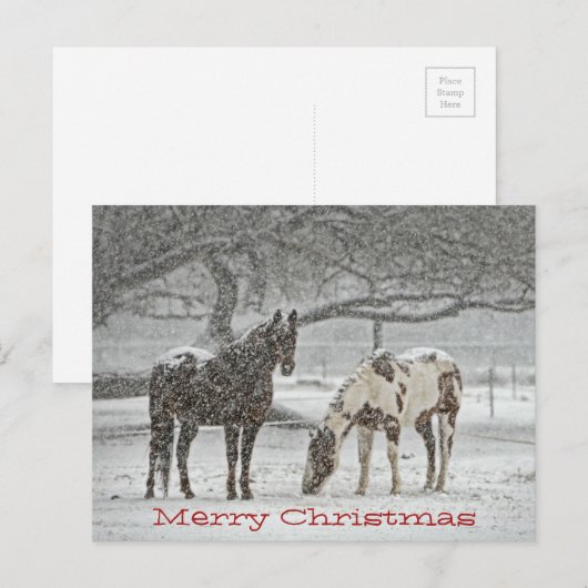Paarden die zich in de Wens van de Sneeuw u Feestdagenkaart (Voorkant / Achterkant)
