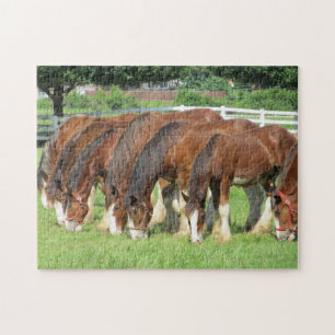 Paarden die zich in een veld voeden legpuzzel