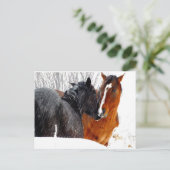 Paarden die zoenen op sneeuw briefkaart (Staand voorkant)