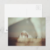 Paarden door Angelandspot Briefkaart (Voorkant / Achterkant)