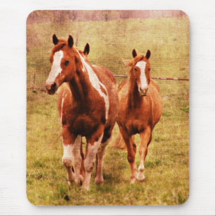 Paarden draaien muismat