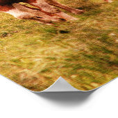 Paarden draaien poster (Hoek)