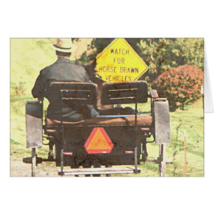 Paarden Drawn Vechicles, Amish Horse and Buggy