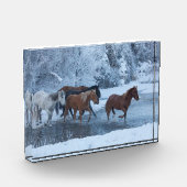 Paarden drijven in de winter fotoblokken (Links)