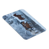 Paarden drijven in de winter magneet (Rechterzijde)