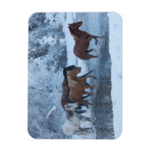 Paarden drijven in de winter magneet (Verticaal)