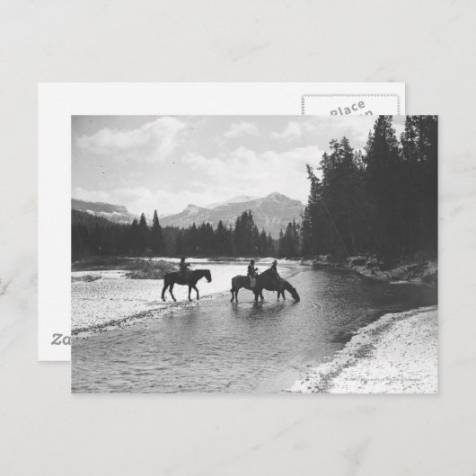 Paarden drink en passerende een rivier briefkaart (Voorkant / Achterkant)