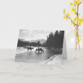 Paarden drink en passerende een rivier kaart (Gele Bloem)