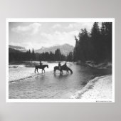 Paarden drink en passerende een rivier poster (Voorkant)