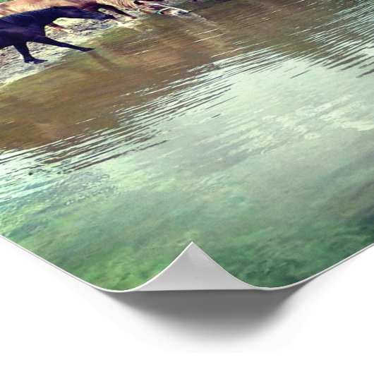 Paarden Drink van Pond Poster (Hoek)