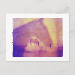 Paarden Dromen Briefkaart