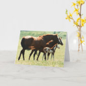 Paarden en Afbeelding van runderen Kaart (Gele Bloem)