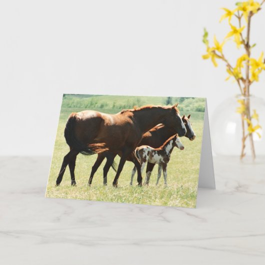 Paarden en Afbeelding van runderen Kaart (Gele Bloem)