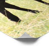 Paarden en Afbeelding van runderen Poster (Hoek)