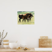 Paarden en Afbeelding van runderen Poster (Keuken)
