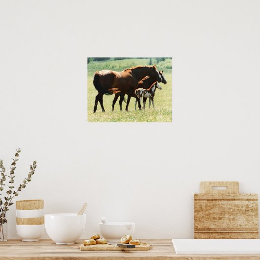 Paarden en Afbeelding van runderen Poster (Keuken)