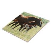 Paarden en Afbeelding van runderen Tegeltje (Zijkant)